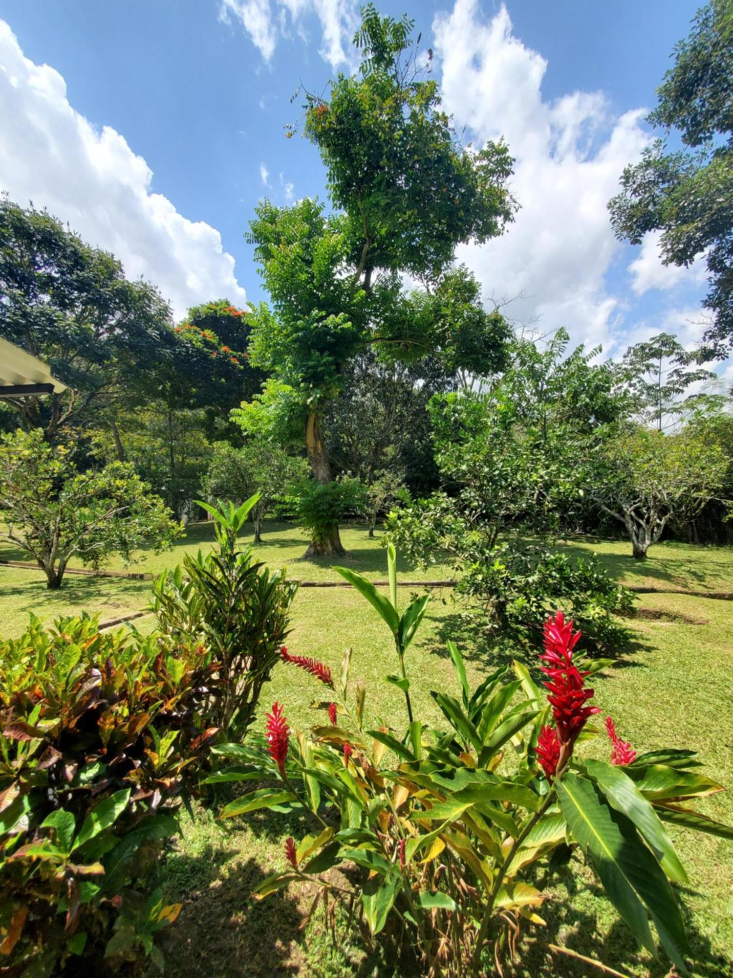 Hotel Boutique Rosse La Vega (Cundinamarca) Exterior photo